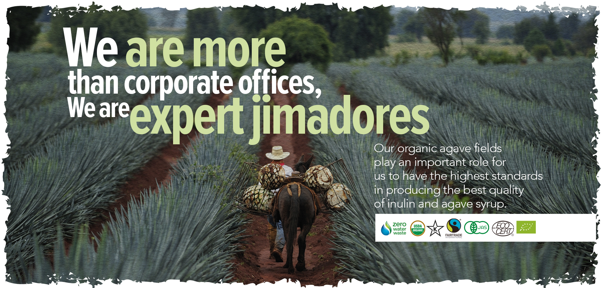 Food Industry Solutions